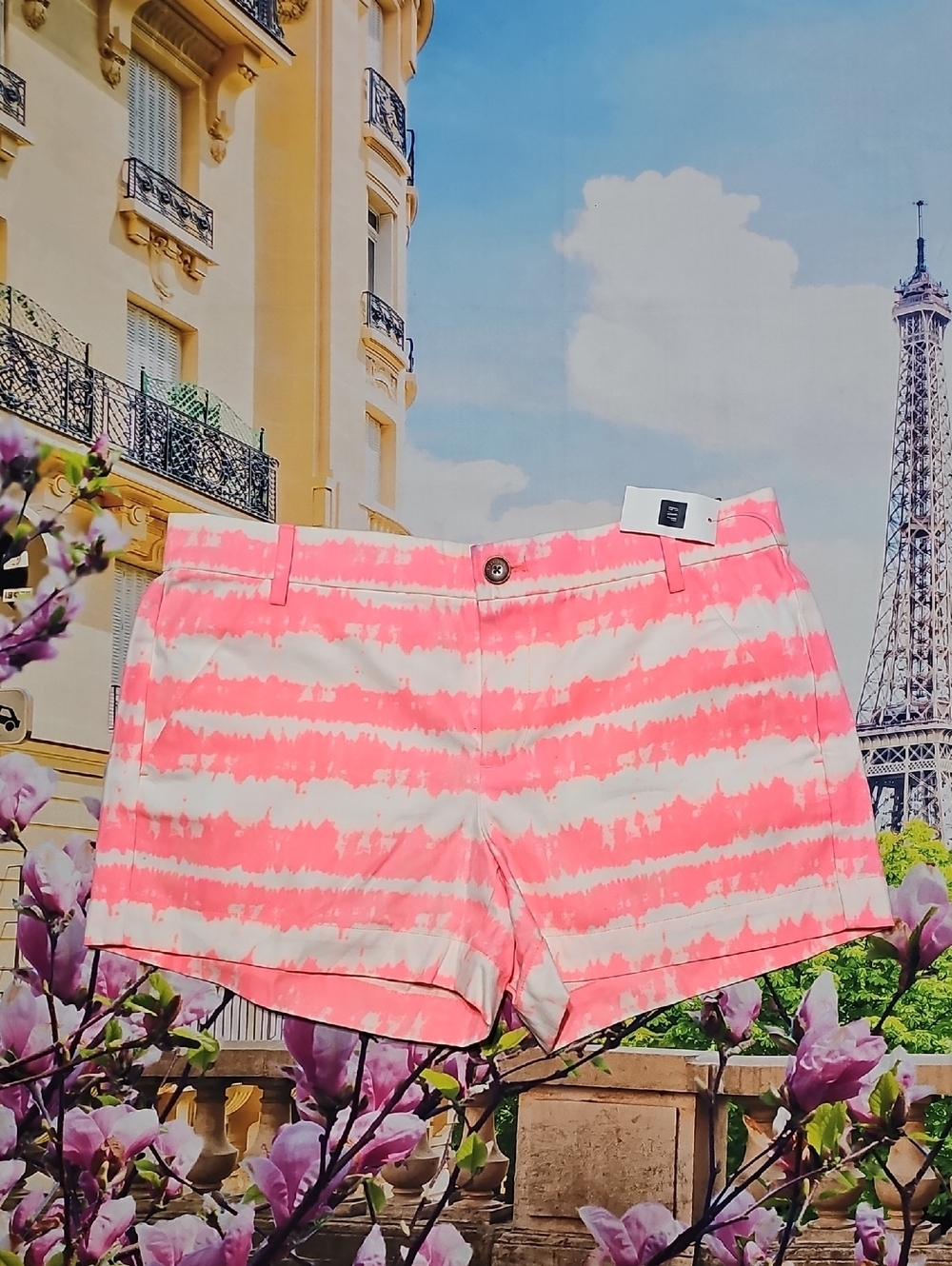 Khakis by Gap Sunkissed Shorts Size 2 NWT